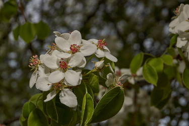 Similar image 21638706