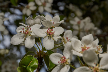 Similar image 21640058