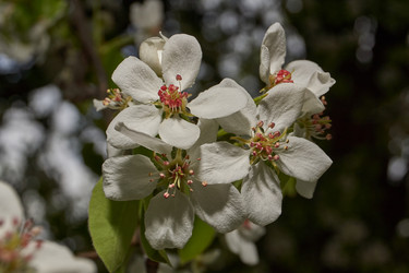 Similar image 21640059