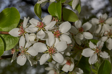 Similar image 21640060