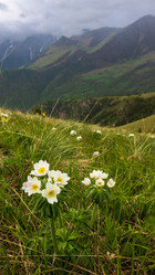 Similar image 21639929