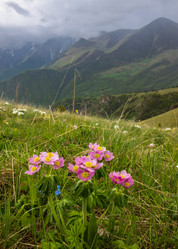 Similar image 21640074