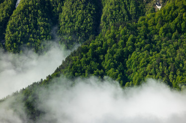 Similar image 21640082