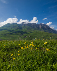 Similar image 21640085