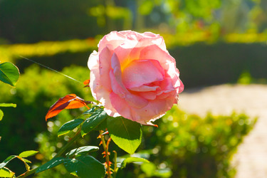 Similar image 21639377