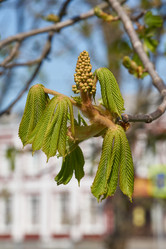 Similar image 21640101