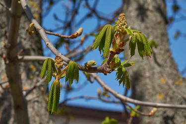 Similar image 21639164