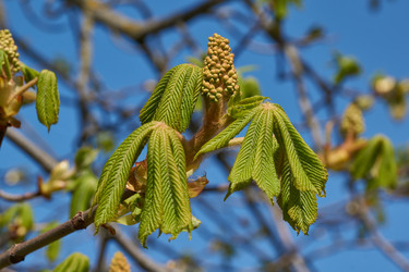 Similar image 21639166