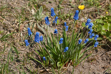 Similar image 21639167