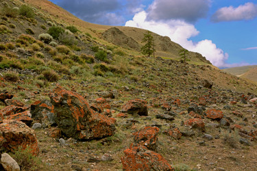 Similar image 21642490