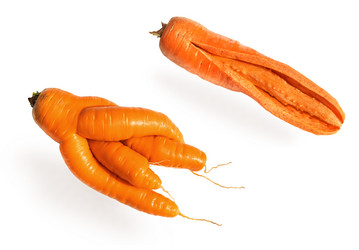 Similar image 21649270