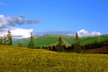 Similar image 21639536