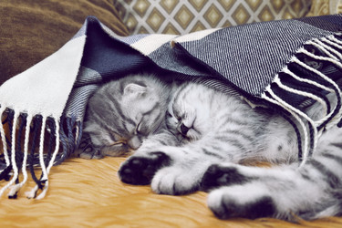 Similar image 21639537