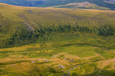 Similar image 21639539