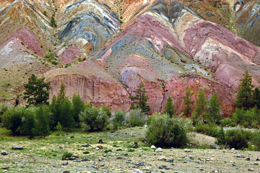 Similar image 21642500