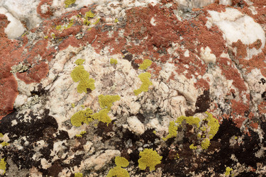 Similar image 21638726