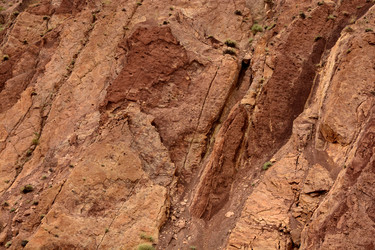 Similar image 21642501