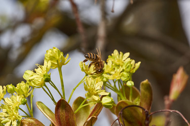 Similar image 21640117