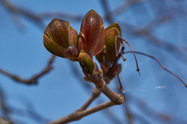 Similar image 21639170