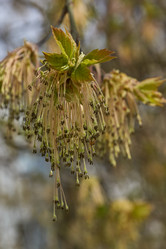 Similar image 21640118