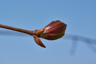 Similar image 21640119