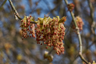 Similar image 21640121