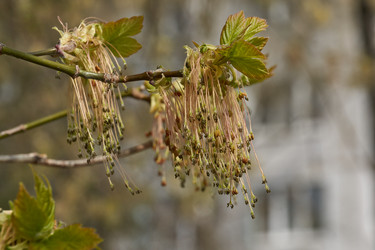 Similar image 21640124