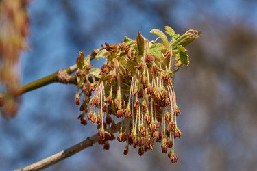 Similar image 21640125