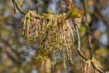 Similar image 21640126