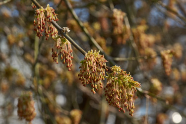 Similar image 21640127