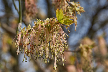 Similar image 21640128