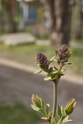 Similar image 21640130