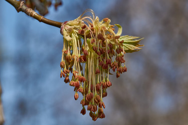 Similar image 21640131