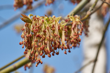 Similar image 21640132