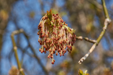 Similar image 21640134