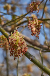 Similar image 21640135