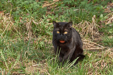 Similar image 21639171