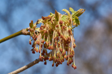 Similar image 21640136