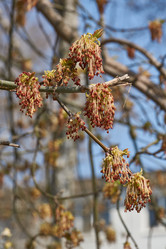 Similar image 21640139