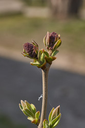 Similar image 21640140