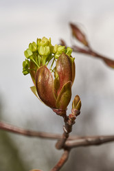 Similar image 21640142