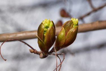 Similar image 21640143