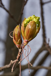 Similar image 21640144