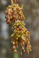 Similar image 21640145