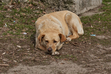 Similar image 21639172