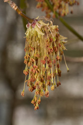 Similar image 21640146