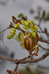 Similar image 21640147