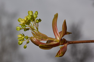 Similar image 21640149