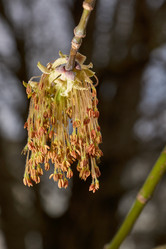 Similar image 21640150