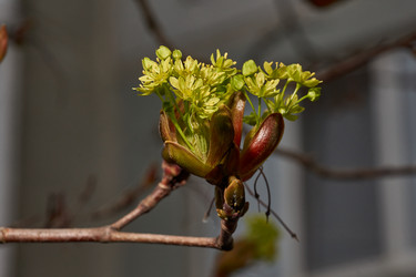 Similar image 21640152